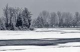 Thawing Rideau Canal_21667